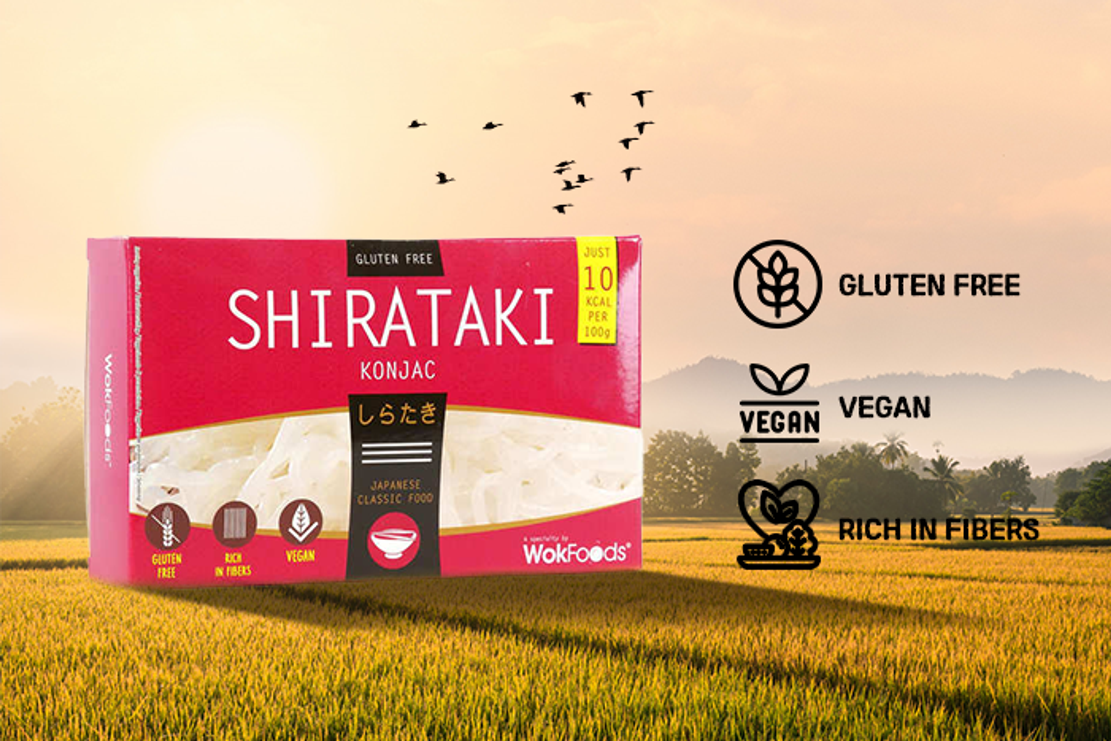 Wok Foods Shirataki Konjac 350g  - Nahaufnahme der Shirataki Nudeln, hervorhebend ihre einzigartige Textur.