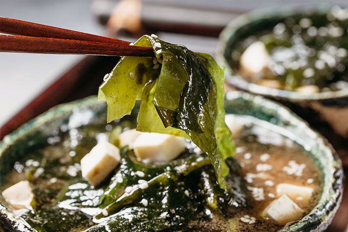 Authentischer japanischer Genuss Miso Suppe
