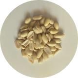 Erdnüsse