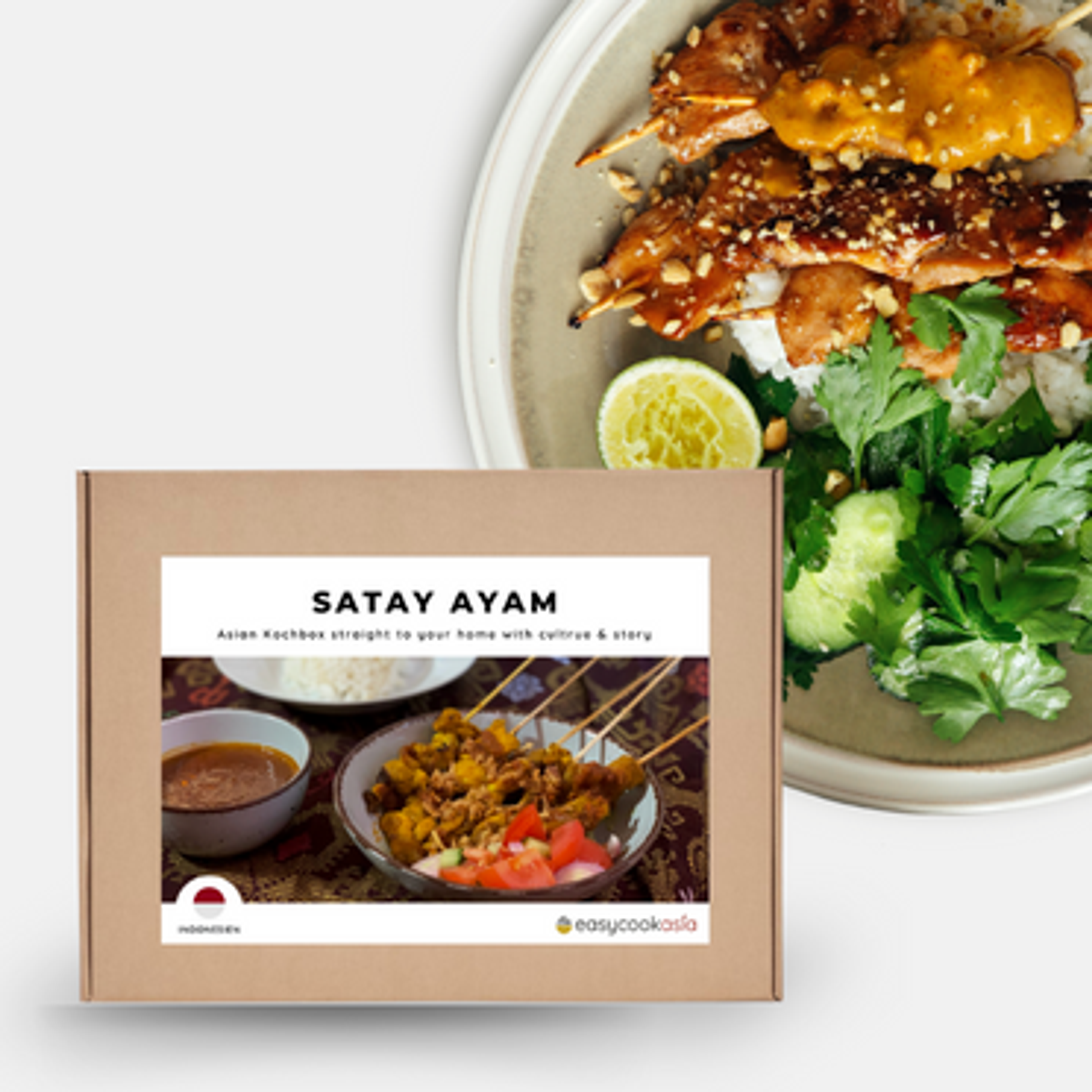 Satay Ayam