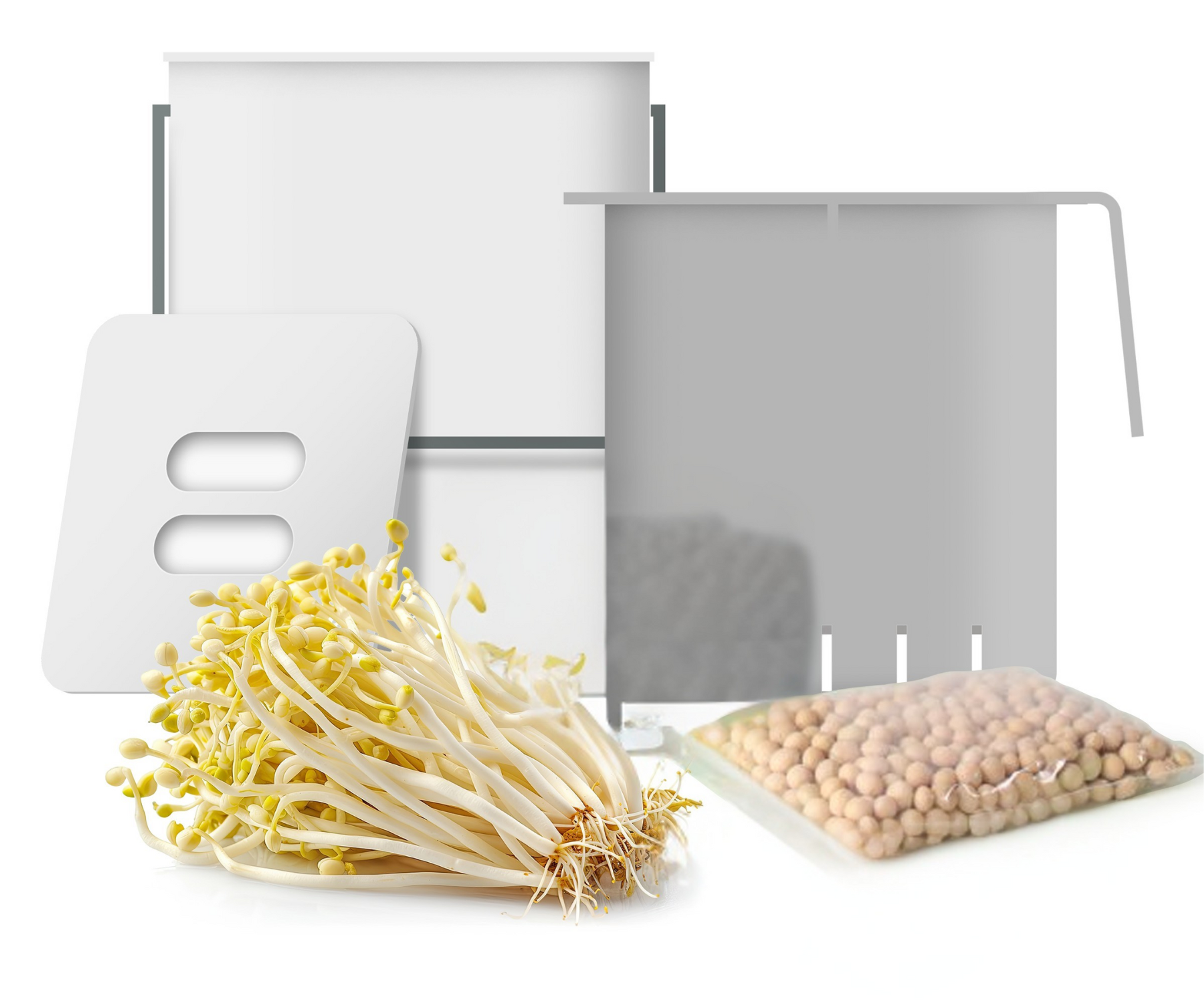 Sojasprossen-Anzuchtset All-in-One – Frische Sprossen einfach zu Hause anbauen