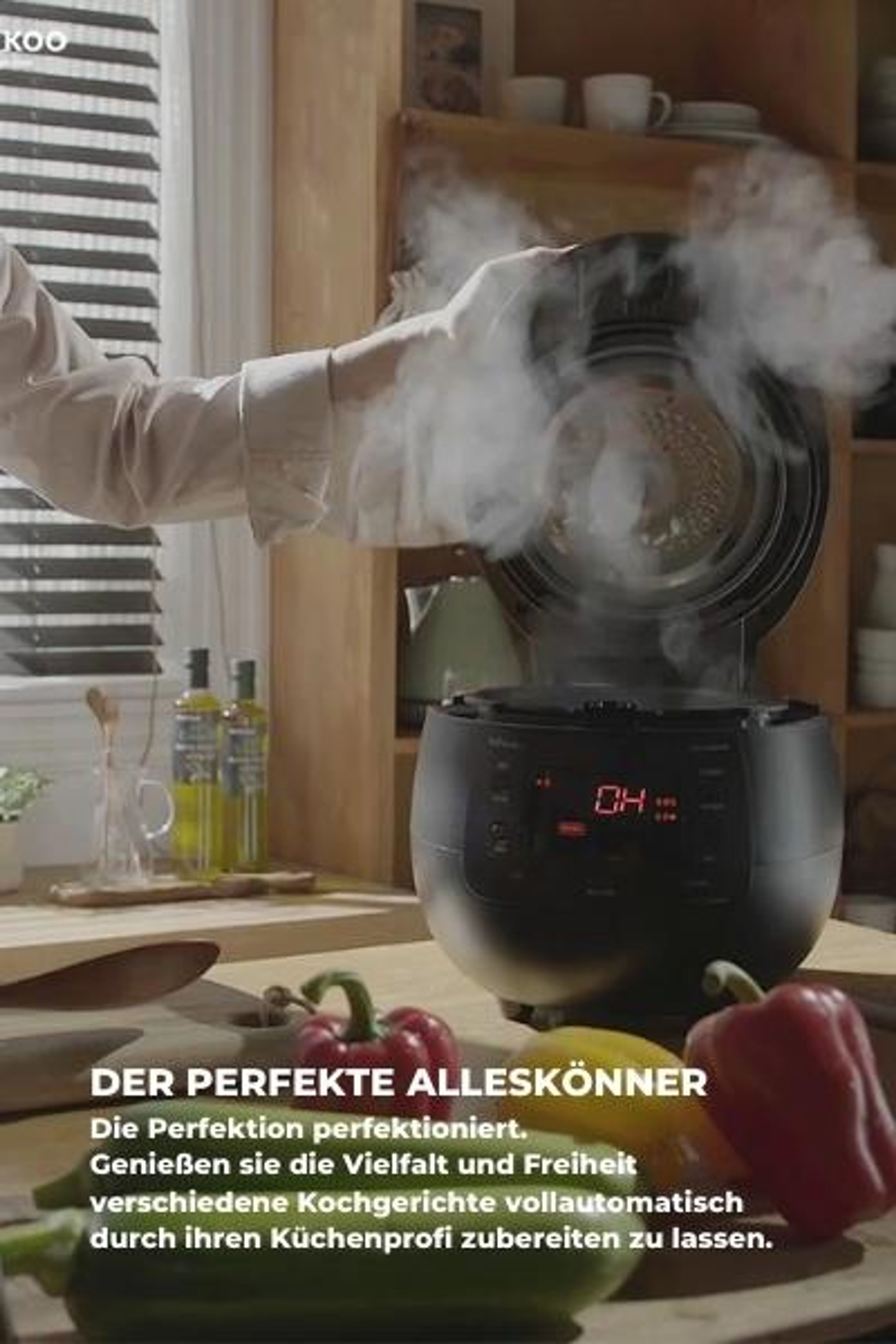 DER PERFEKTE ALLESKÖNNER