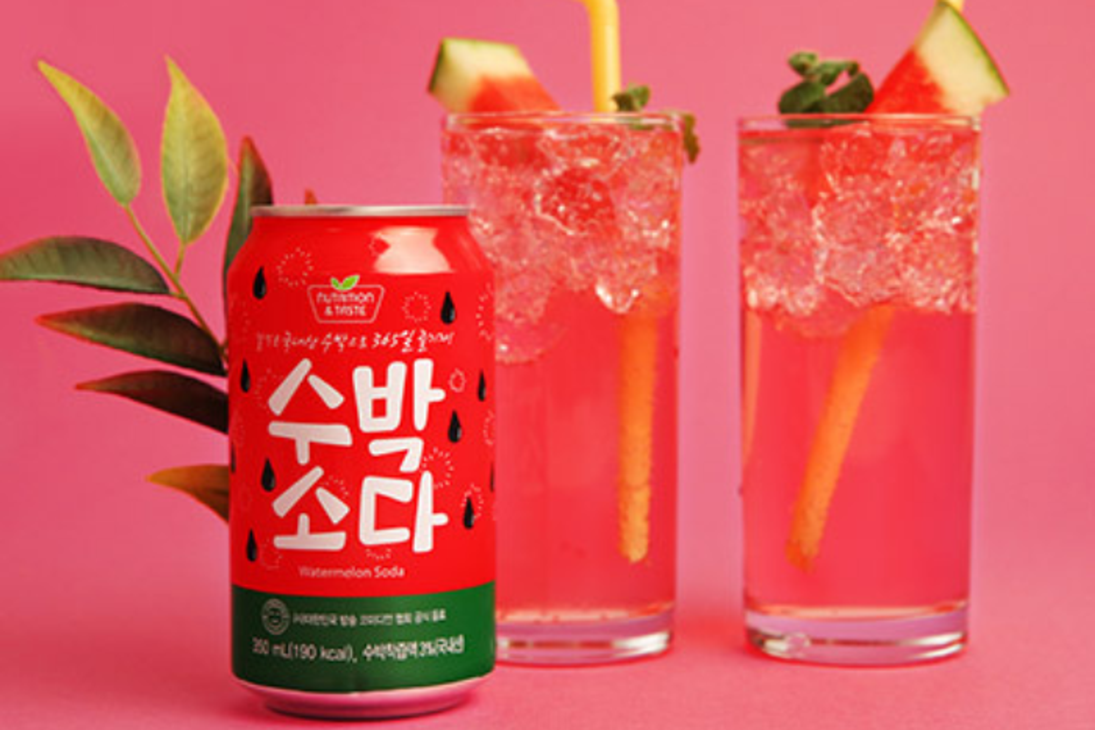 SFCBIO Wassermelone Limonade