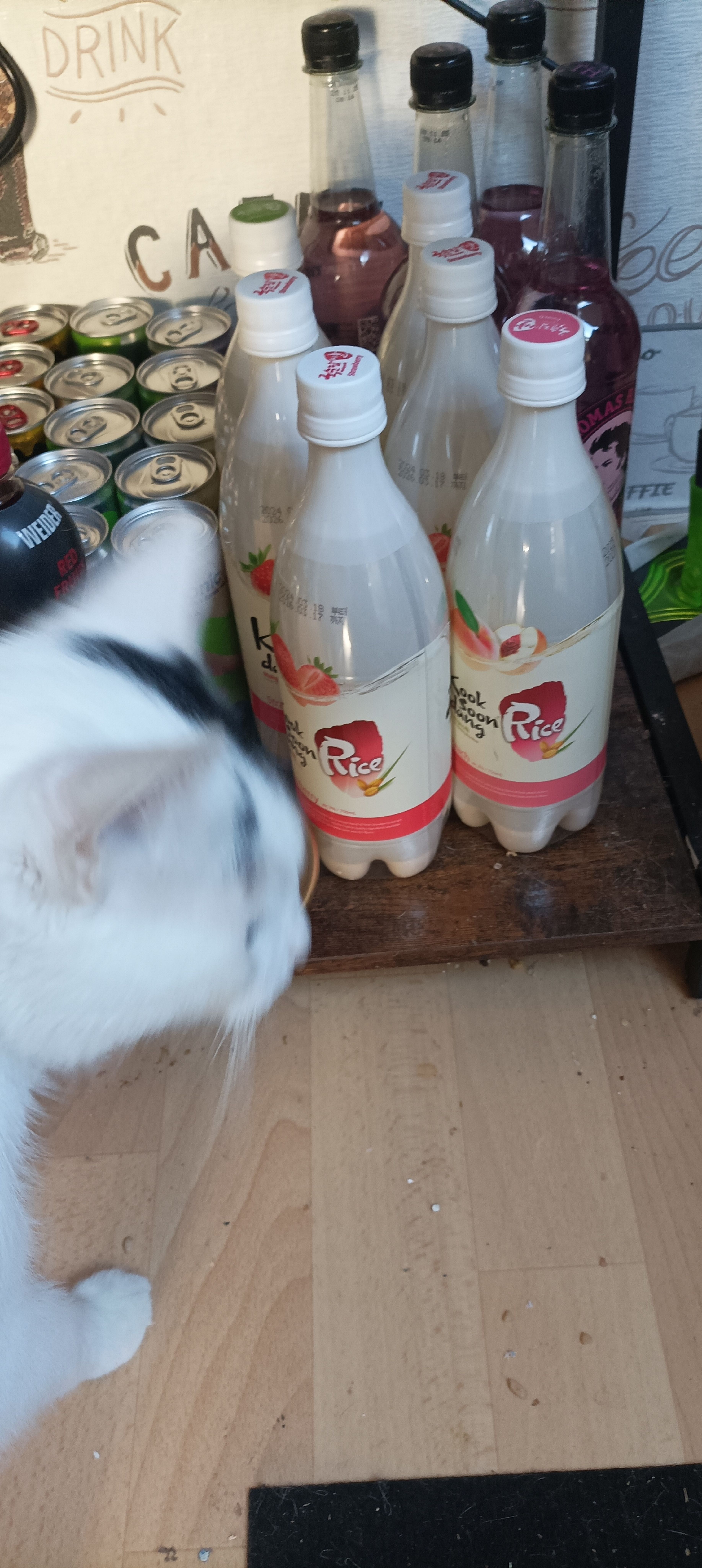 image-55b7dd908e0bdd0ab49eb85449a1c59c14df49cd-1792x4000-jpg