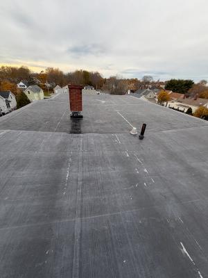 A thumbnail of the project