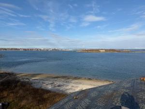 A thumbnail of the project