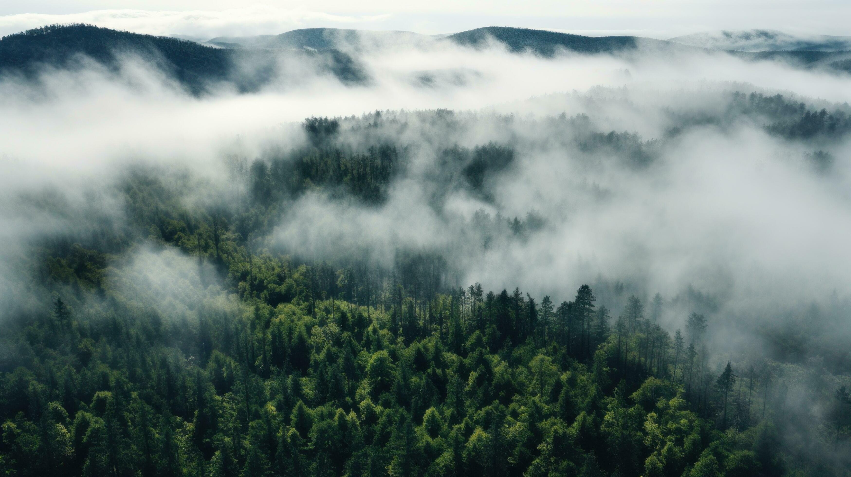 Carbon Accounting and Disclosure for Lenders Image