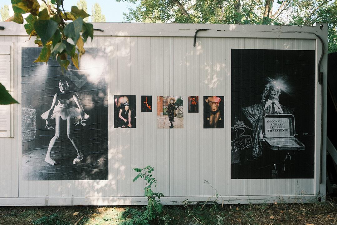Festival image