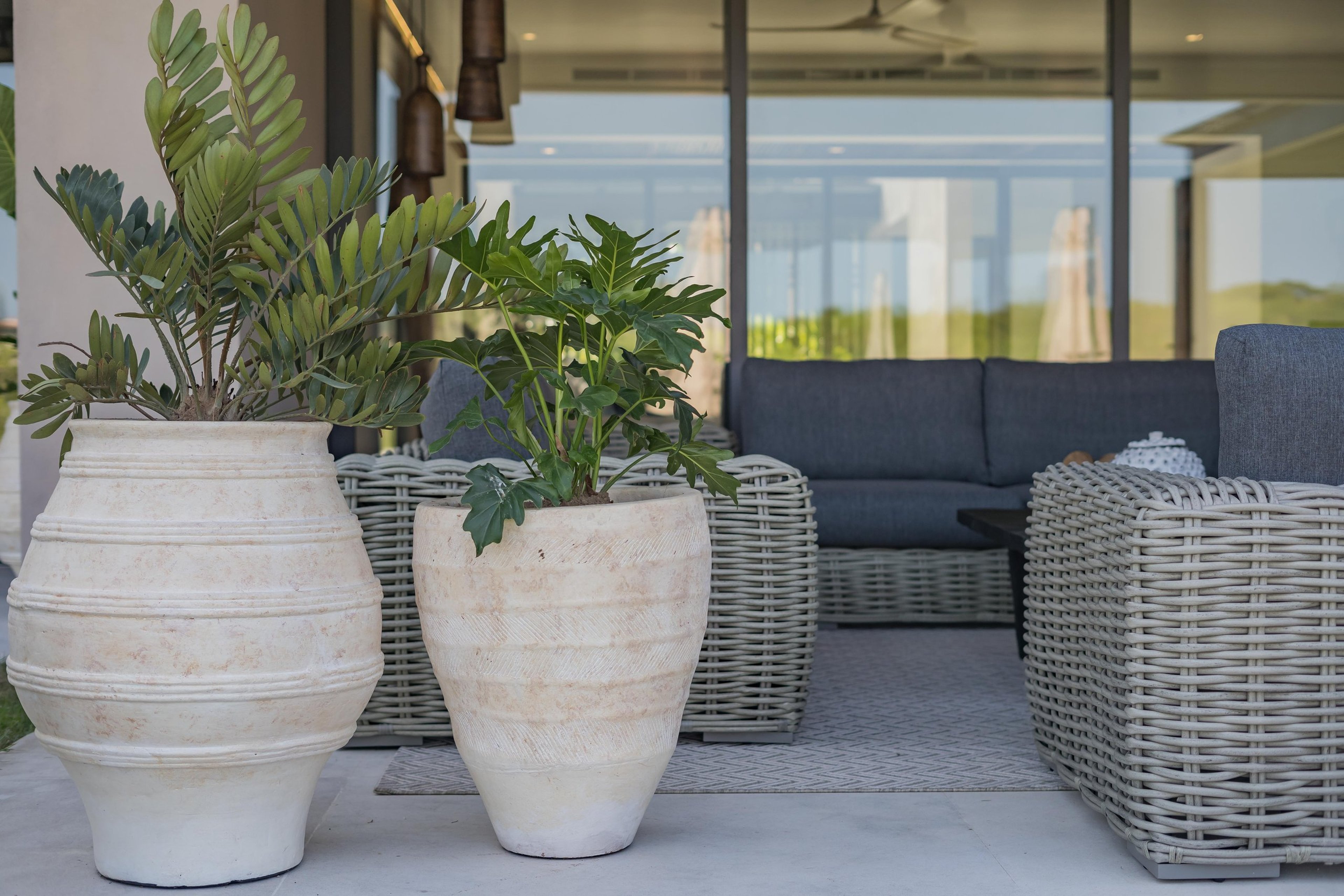 Punta Mita — imagen 14