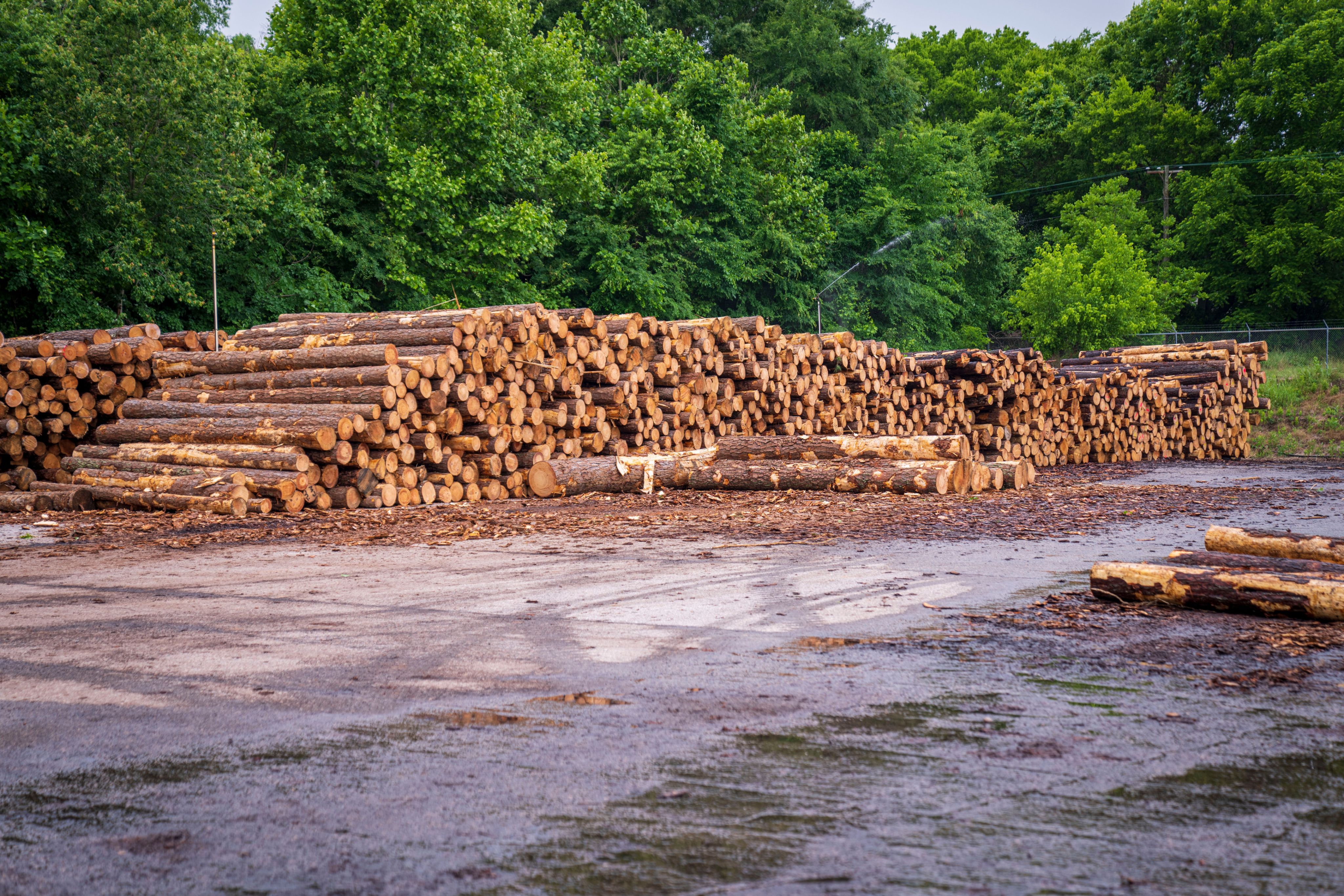 Wisconsin mills. Wisconsin craftsmen. One direct line.