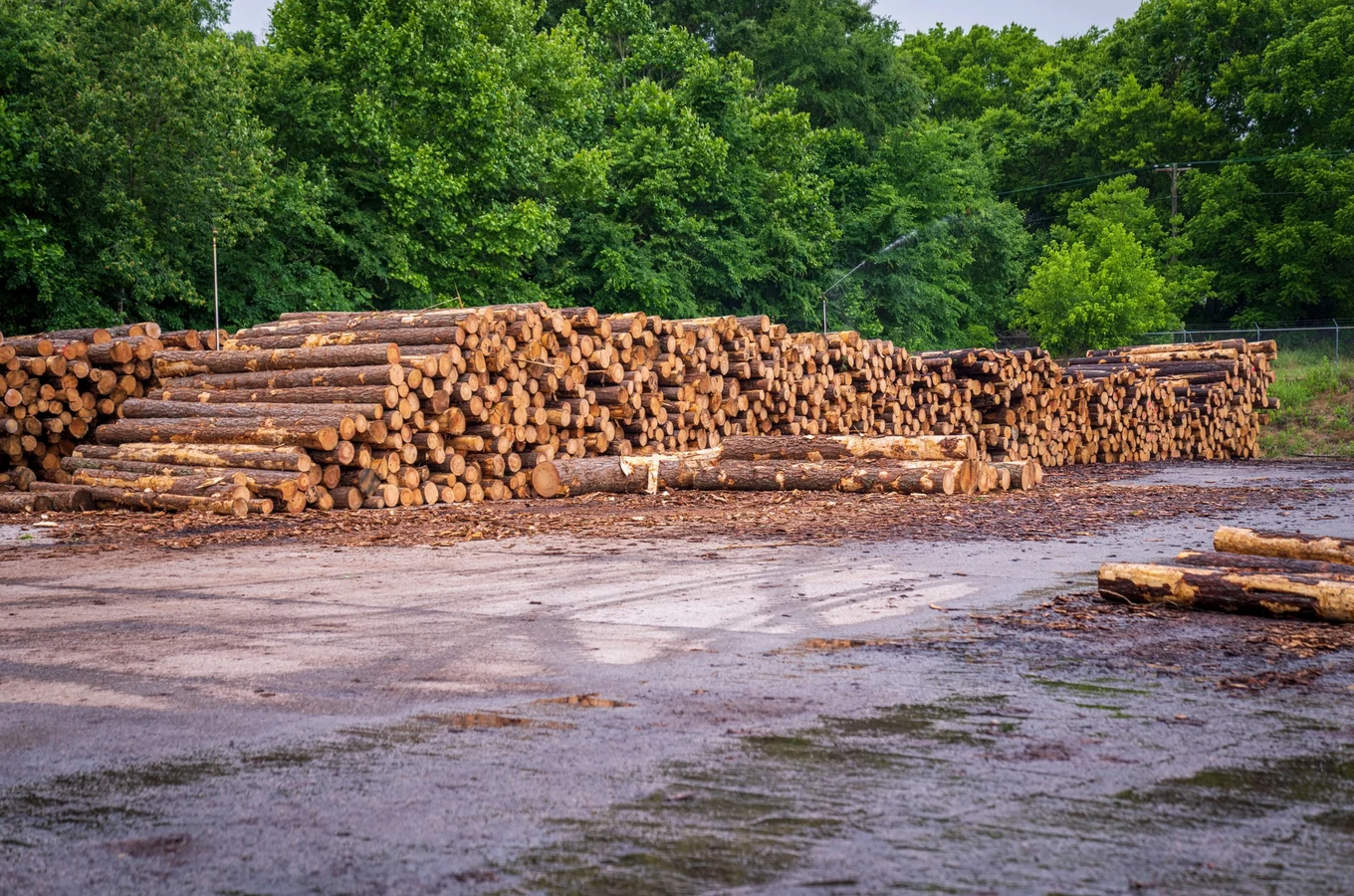 Wisconsin mills. Wisconsin craftsmen. One direct line.