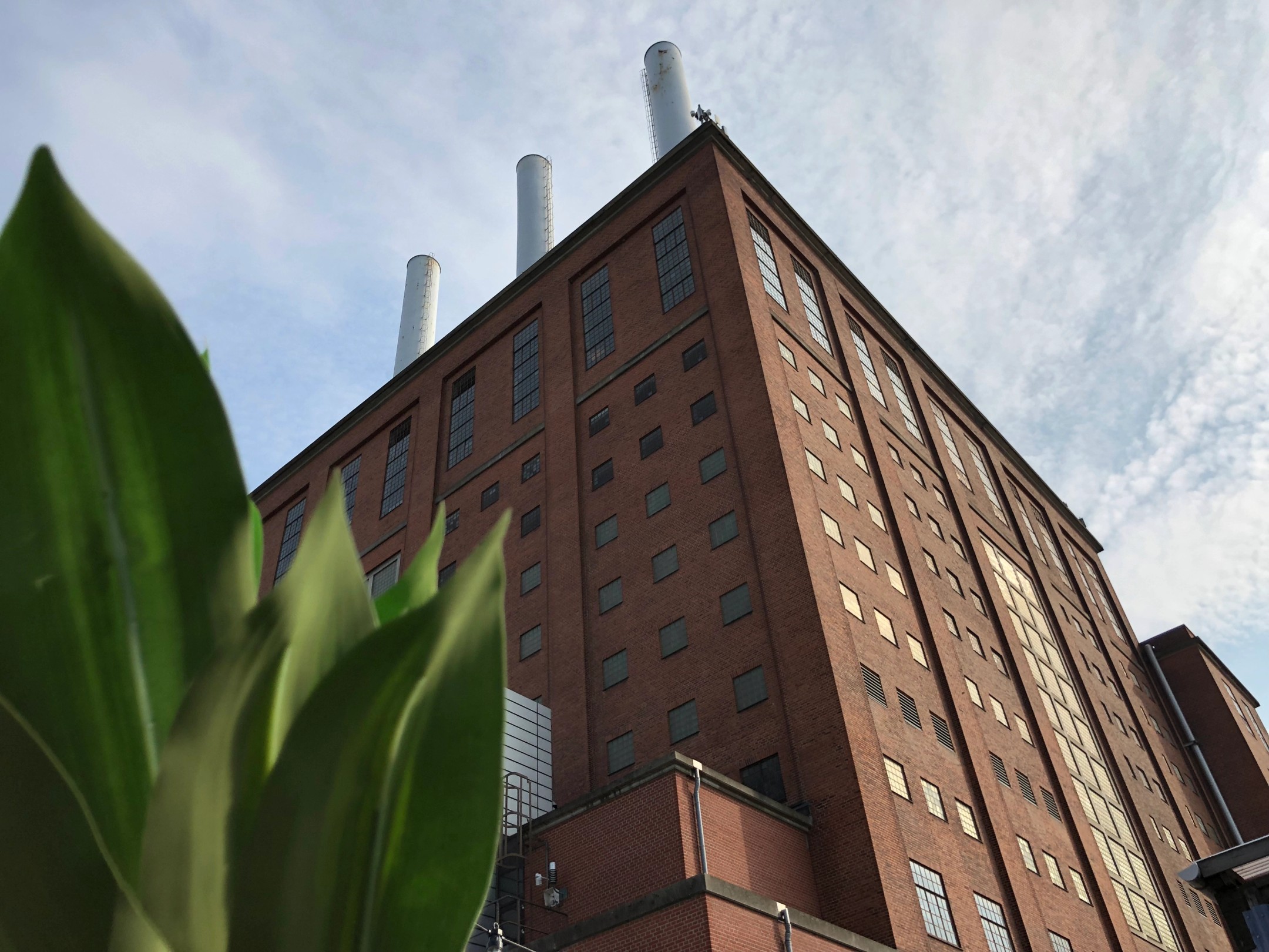 Høj industribygning i røde mursten med skorstene og grønne blade i forgrunden