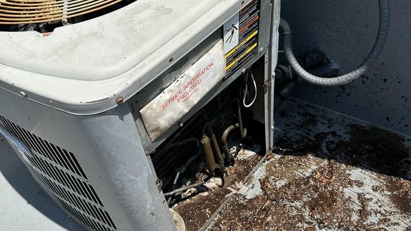5 Signs Your AC Needs Repair — Warning Signs You Should Not Ignore