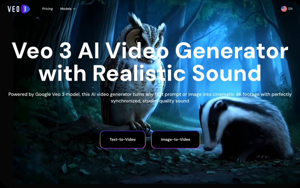 image of Veo3.io