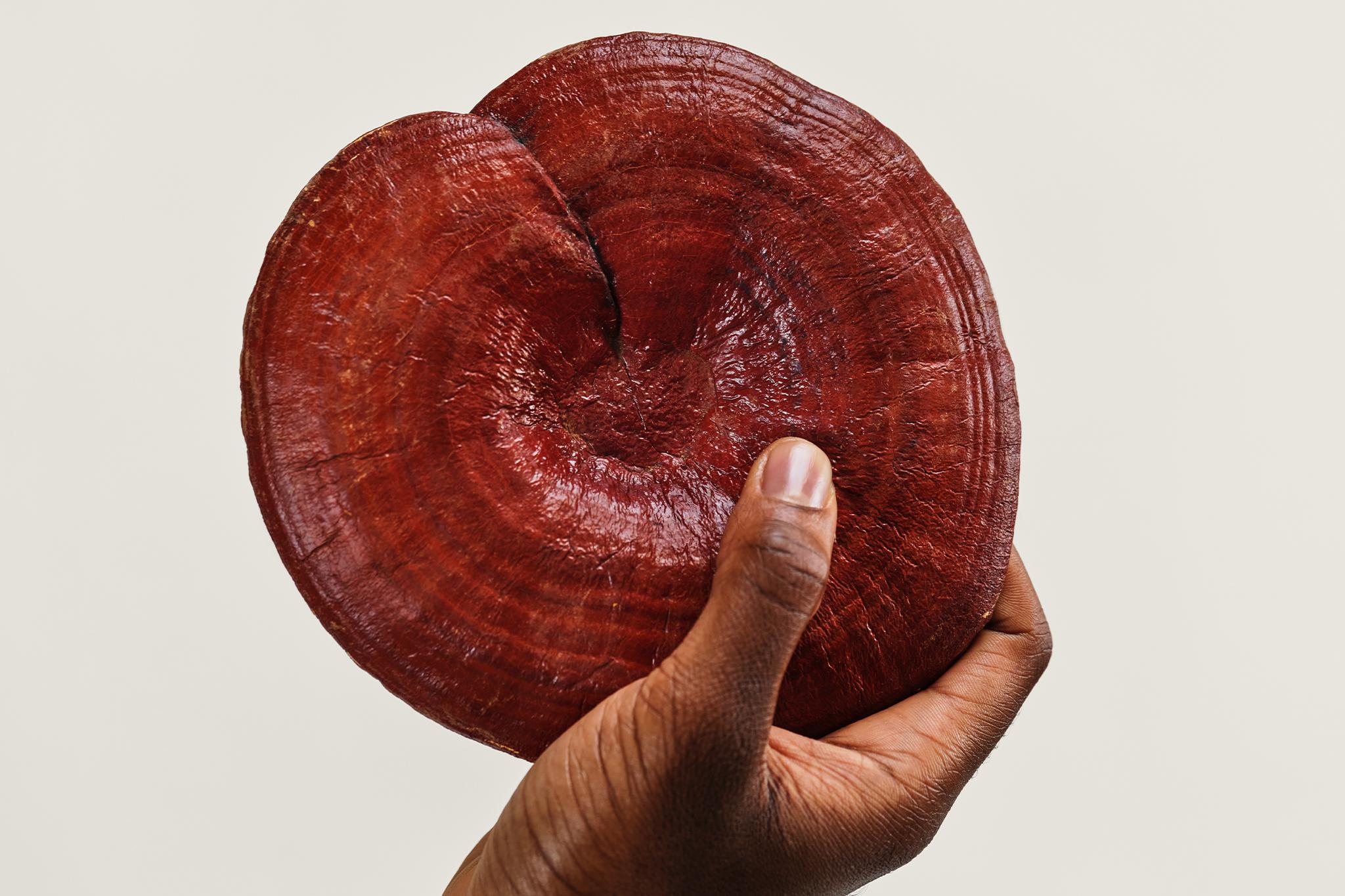 Reishi A Mushroom with Healing Powers? AG1