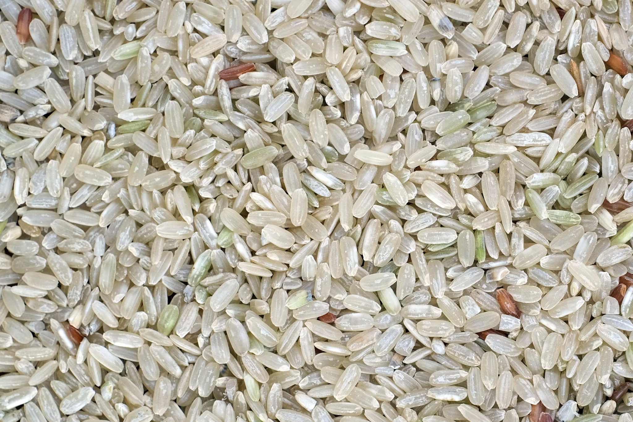 Thiamine What Does Vitamin B1 Do? AG1