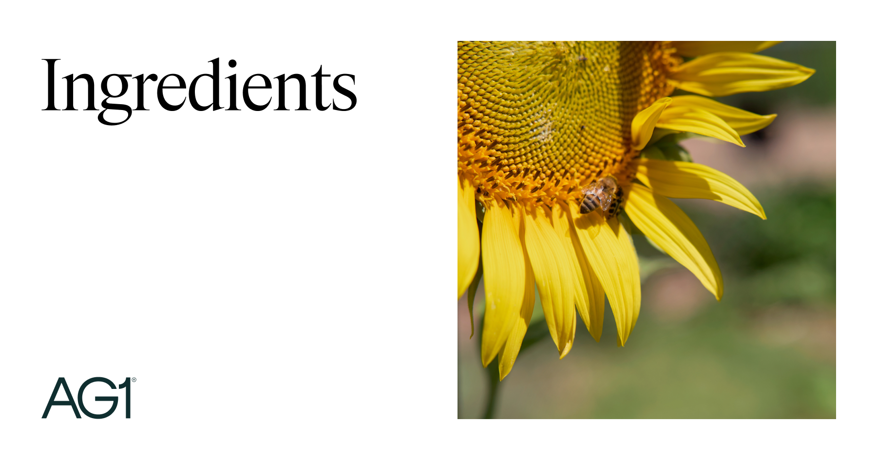 does ag1 have glutathione Daily Foundational Multivitamin Greens Powder AG1 is a research AG1 Greens Powder Multivitamin and