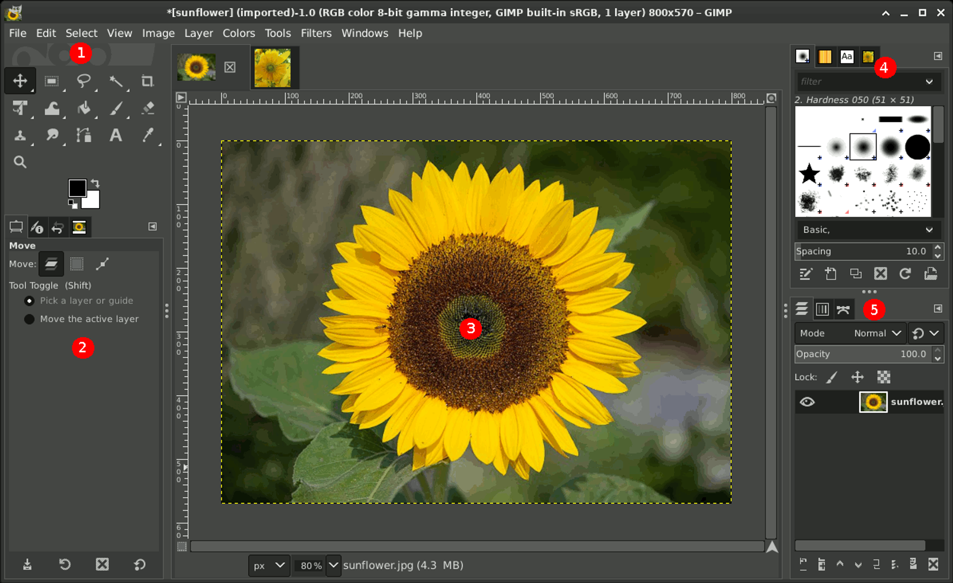 GIMP single-window workspace showing the toolbox, image canvas, and layers panel