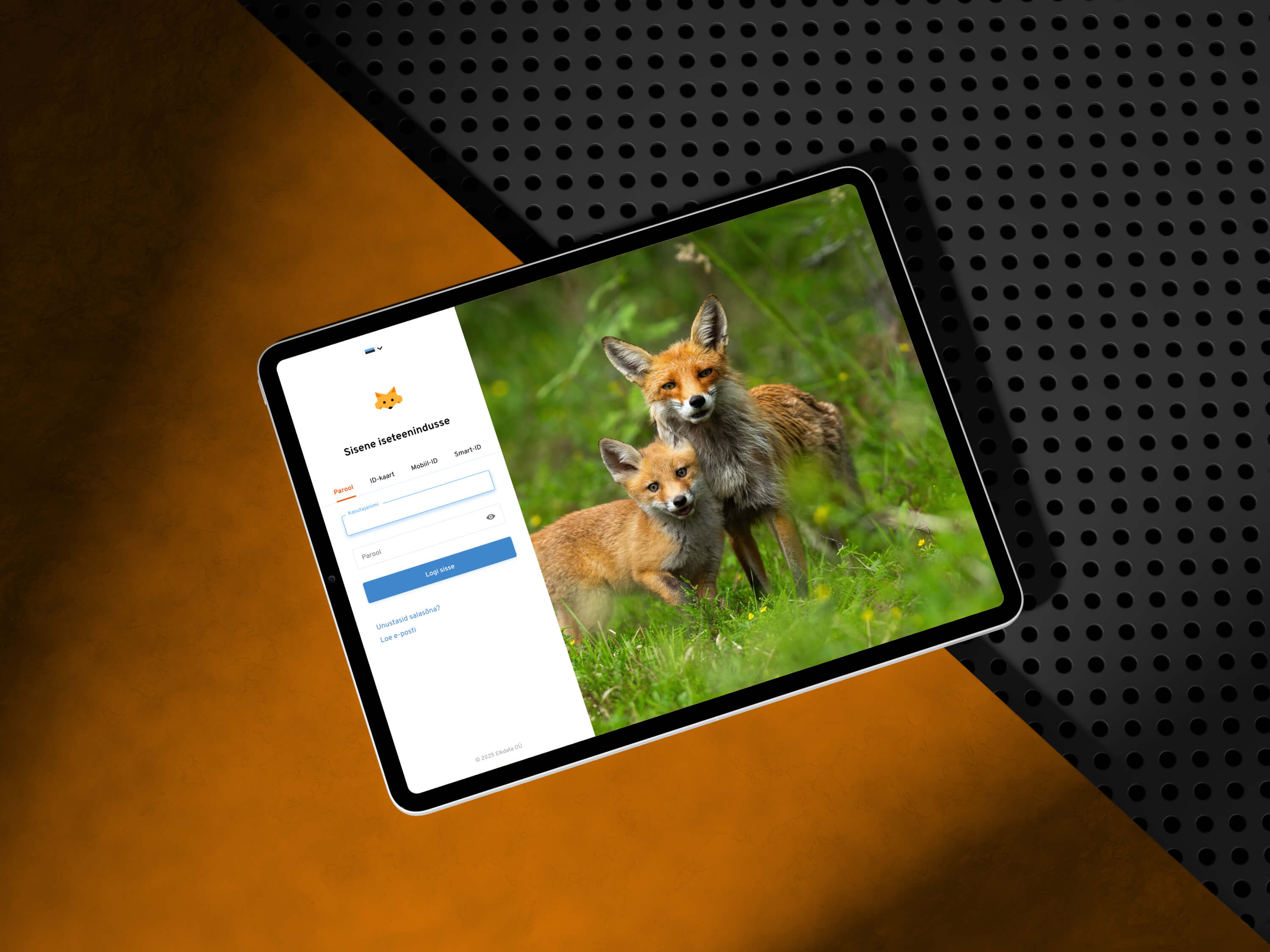 Elkdata / Veebimajutus Hosting Platform UX/UI Design project preview