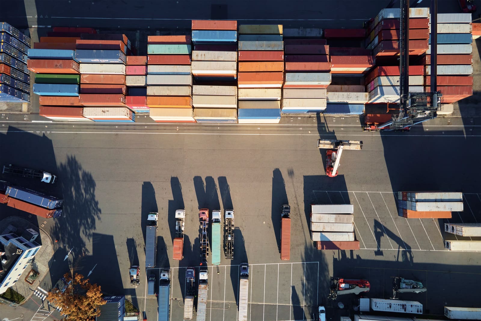 Importers and container logistics