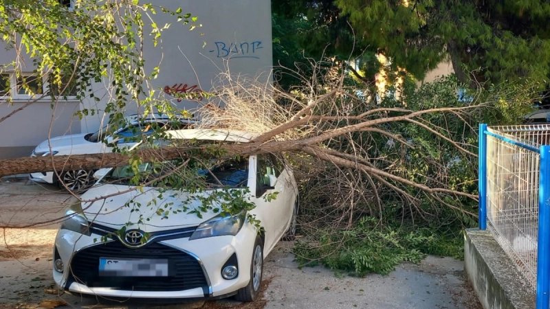 FOTO Na Plokitama grana pala na automobil: Stanari kažu da nije prvi put