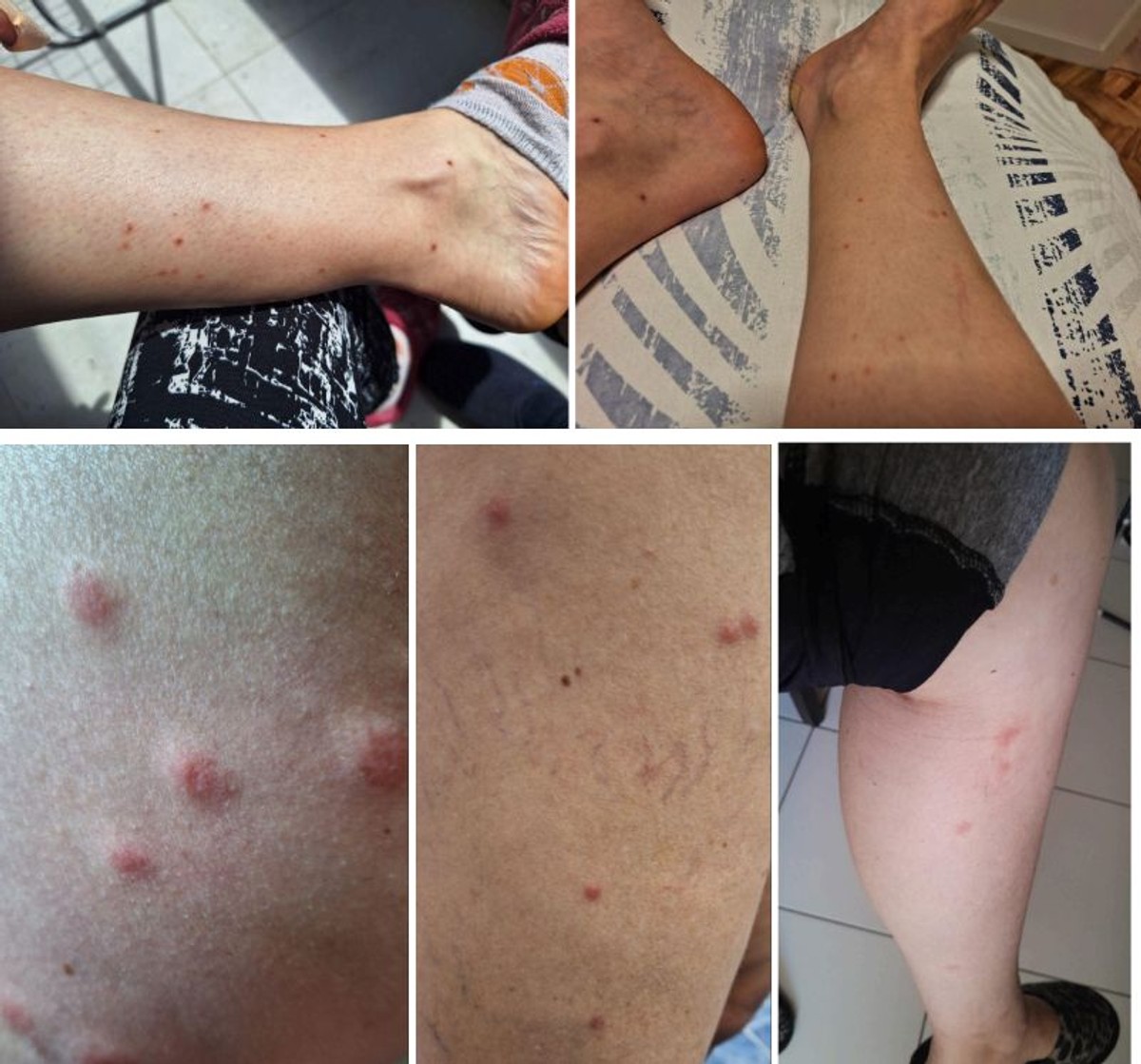Grizu ih već dvije godine, prijave se gomilaju. Provjerili smo što se događa u zaleđu Omiša 