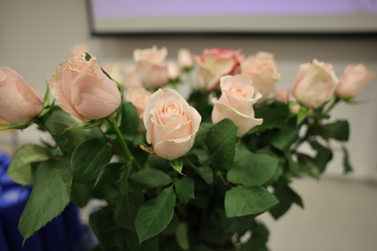 Promocija na Pomorskom fakultetu | foto: Bogdan Klarić