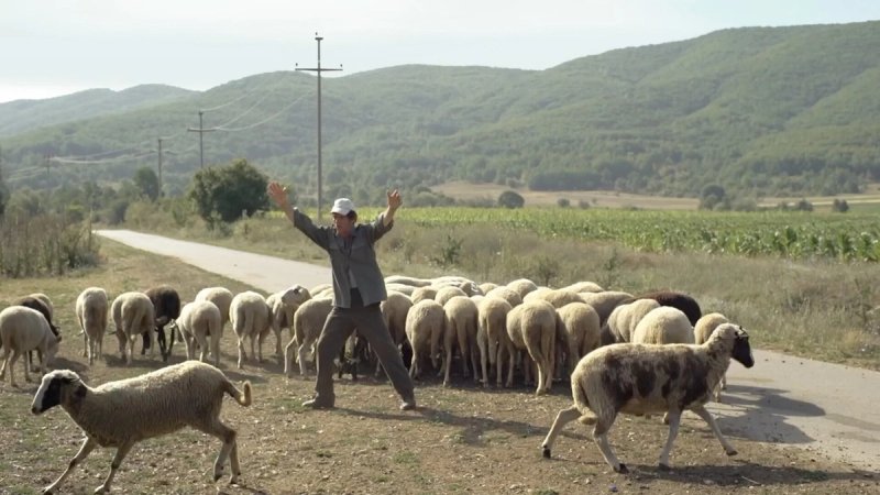 CENTAR ZLATNA VRATA Započinje Putujući festival makedonskog filma
