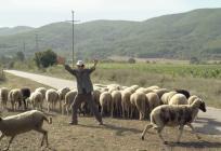 CENTAR ZLATNA VRATA Započinje Putujući festival makedonskog filma