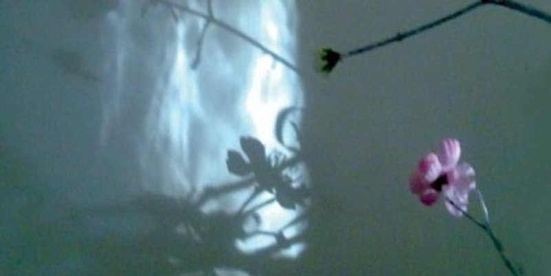 Predstavljanje knjige 'Mi i oni Drugi: jezici, kulture, identiteti' u Splitu