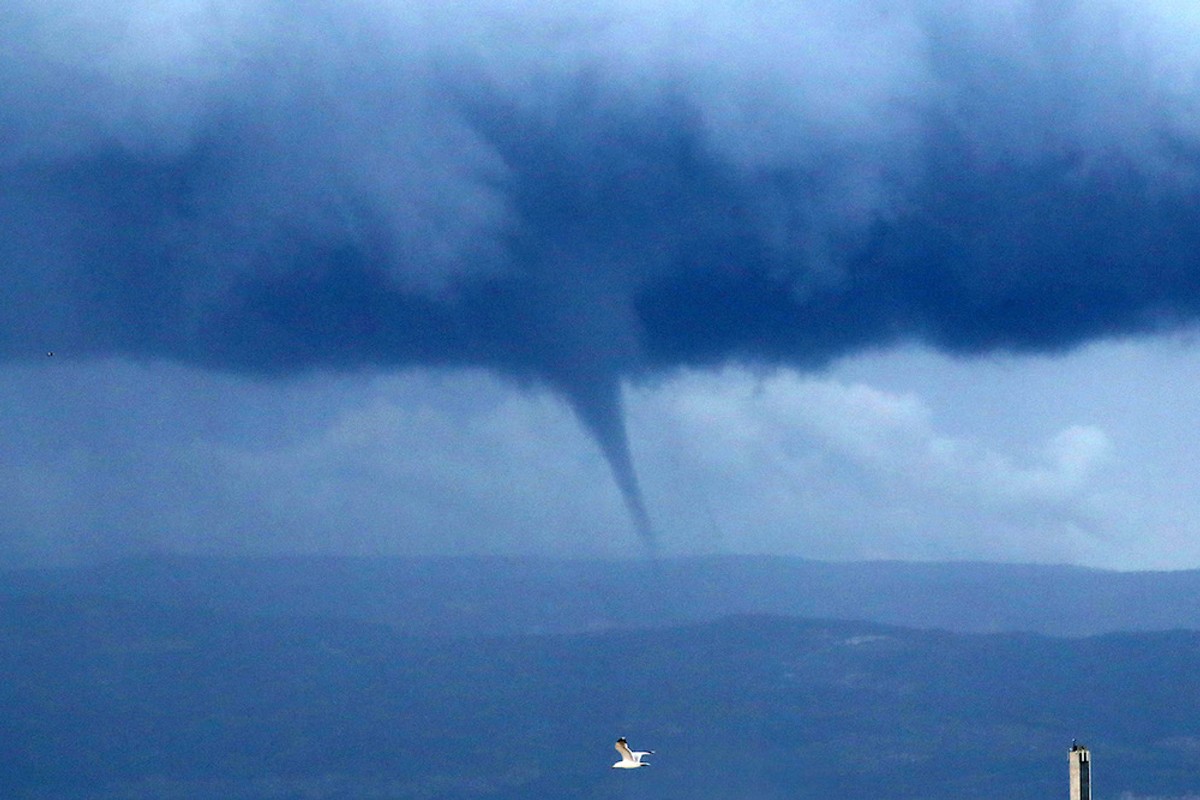 VIDEO Pogledajte pijavicu u Bračkom kanalu