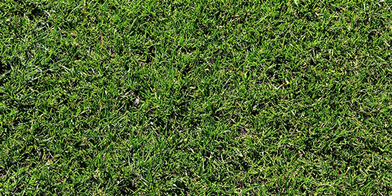 Kraj okupacije u Žrnovnici