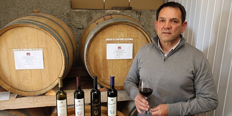 DOMOVINA CRLJENKA Ante Kuzmanić: 'Godišnje odmore provedem u vinogradu, ne idem po plaži i na skijanja, to je moj užitak i odmor'