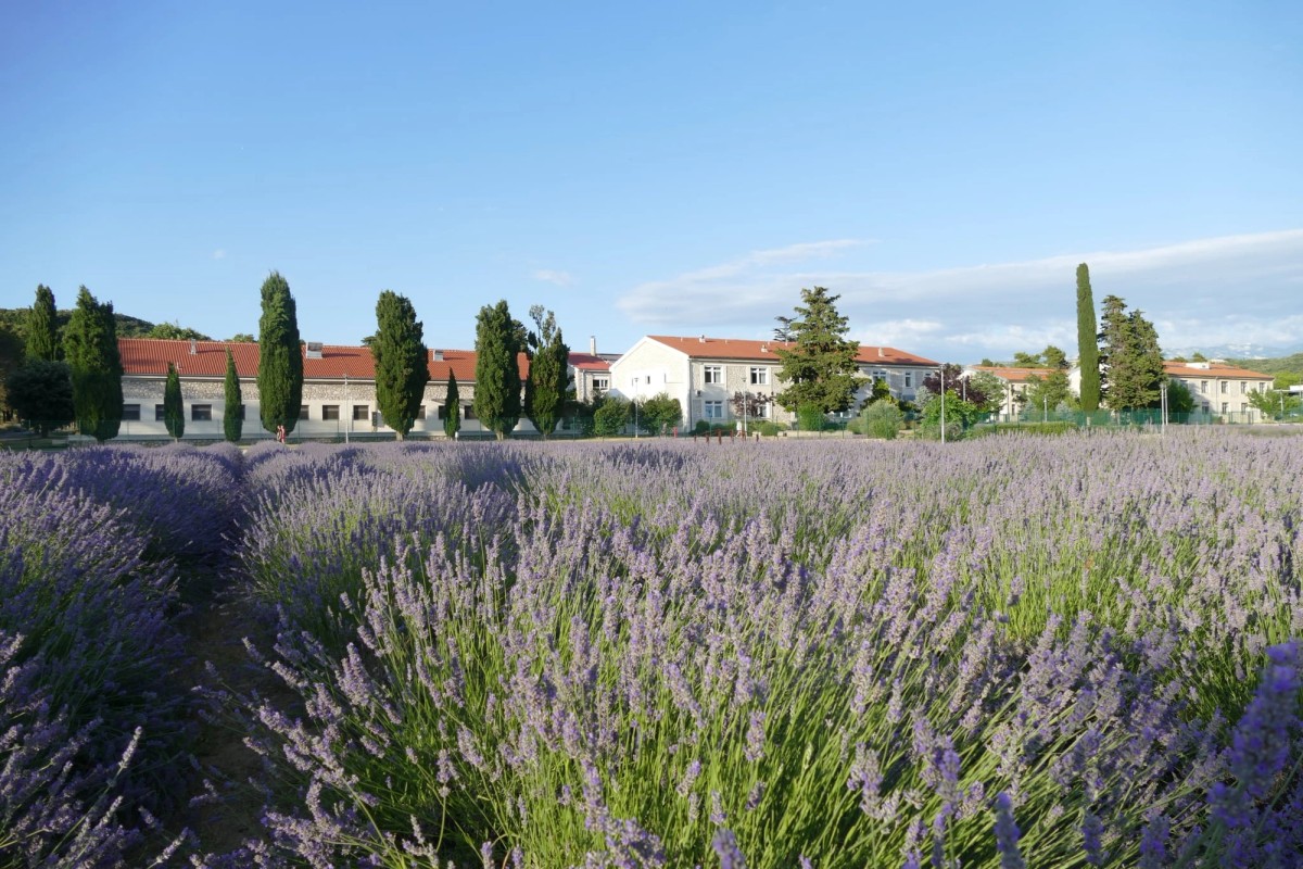 Kad posao prati i kvaliteta života: Prilike za zdravstvene djelatnike