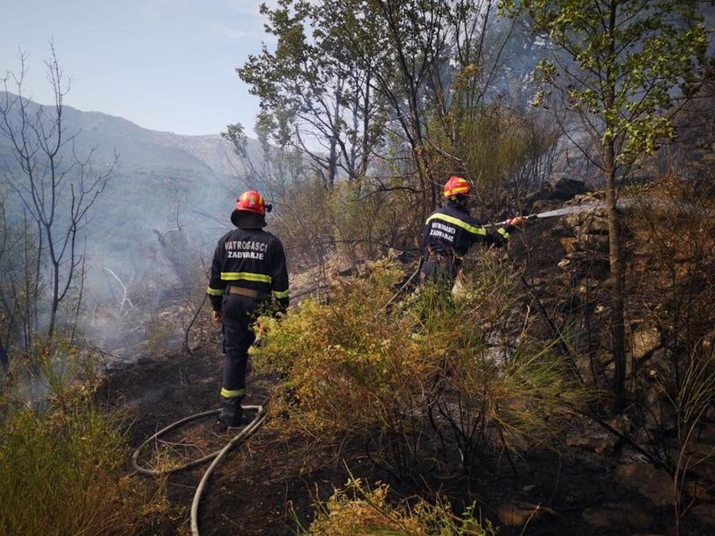 Komisija pokreće novu strategiju za borbu protiv sve veće prijetnje od šumskih požara