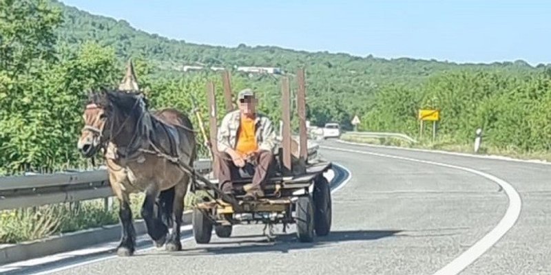 Nesvakidašnji prizor u Dugopolju...
