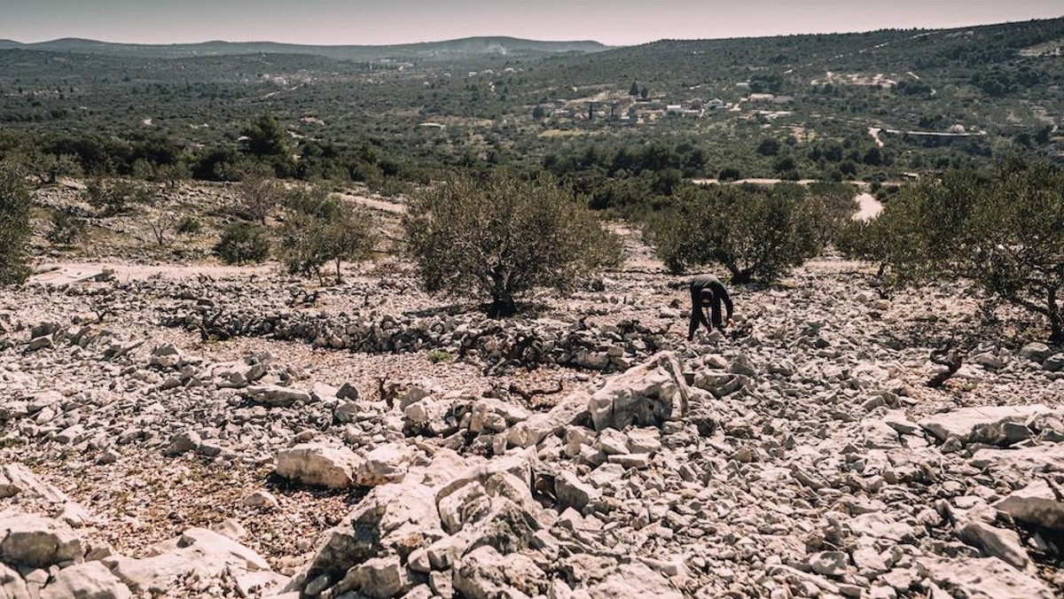 INSPIRATIVNA PRIČA Nadomak Splita niče investicija od 15 milijuna eura 