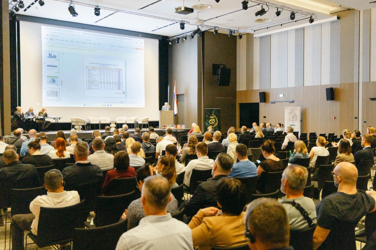 Salmonela prijeti jatima konzumnih nesilica!