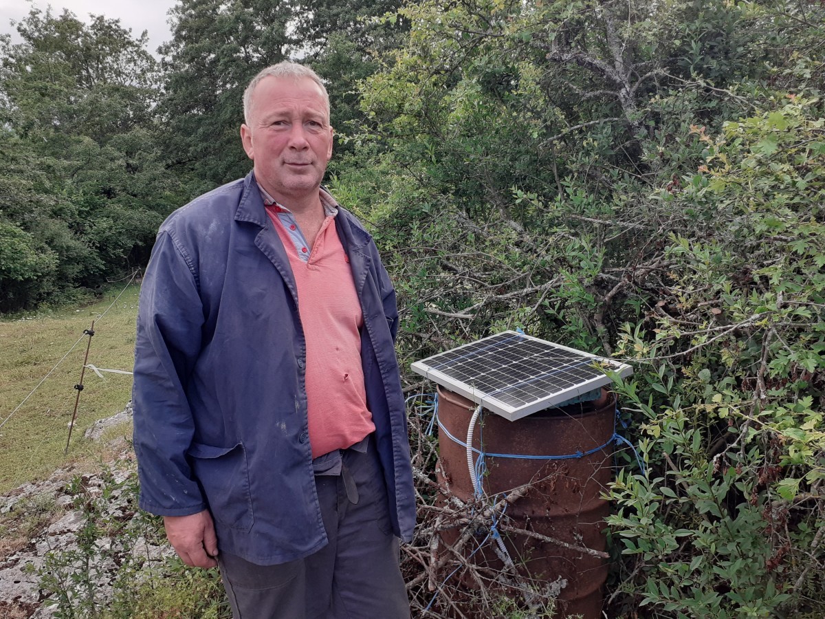 Za zaštitu blaga od vuka do 100.000 eura bespovratnih sredstava