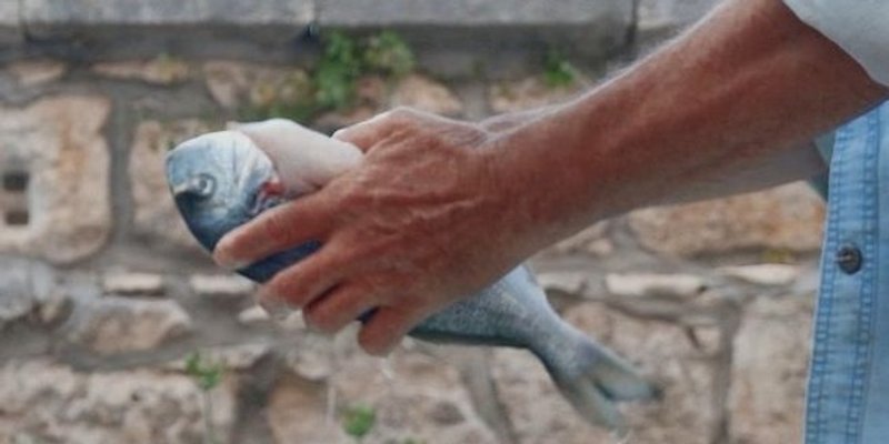FOTO/VIDEO: NE MOŽE JEDNOSTAVNIJE Evo kako izabrati i očistiti svježu ribu