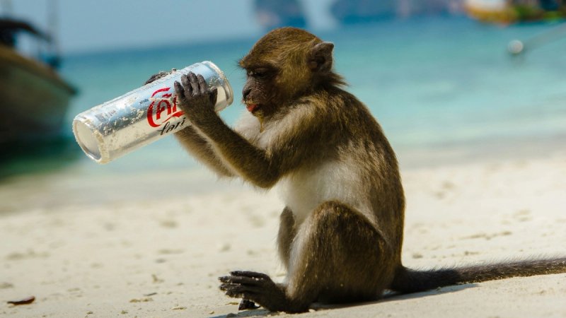 U firentinskom samostanu pronađen recept za preteču Coca-Cole?