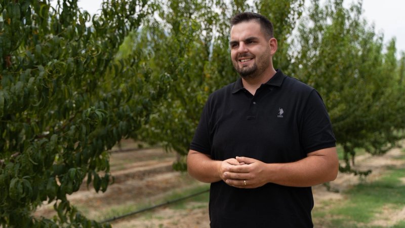 Voćar iz Vrgorca: Kad znaš da imaš siguran plasman u Tommy, lakše je planirati rast proizvodnje