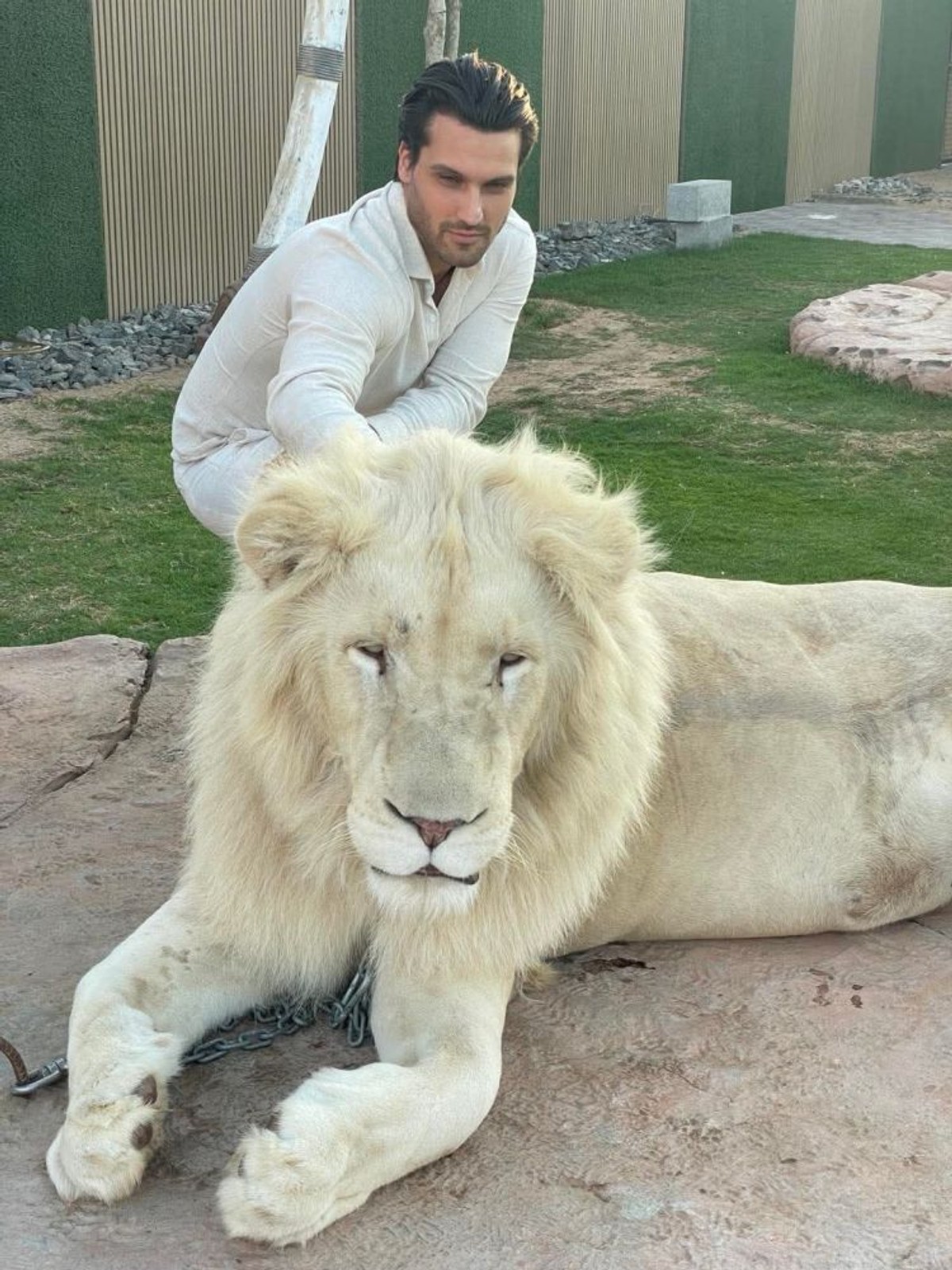 Gospodin Savršeni u Dubaiju | foto: RTL, press