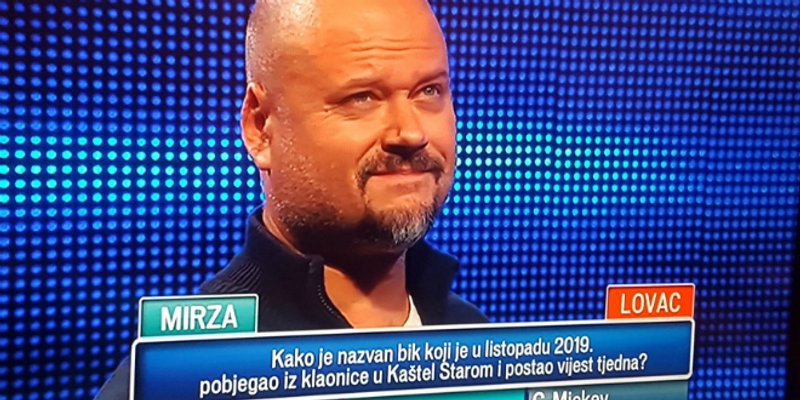 Odbjegli kaštelanski bik stigao do Potjere