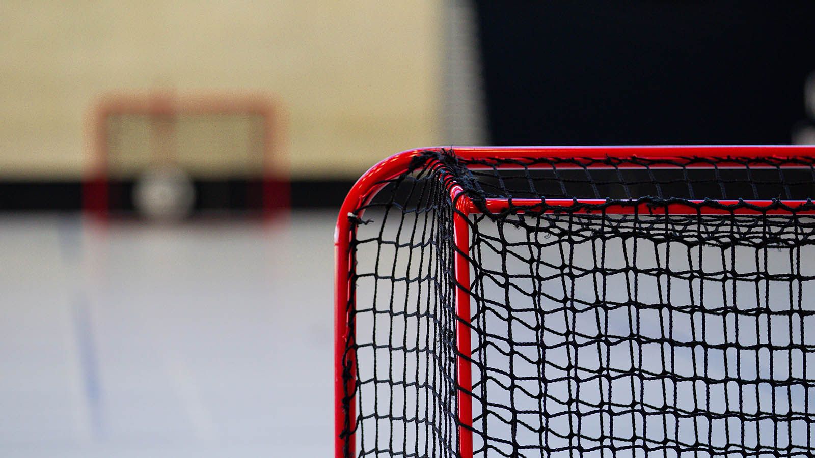 Splitsko-dalmatinska županija objavila Javni poziv za predlaganje javnih potreba u području sporta za 2027. godinu