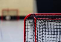 Splitsko-dalmatinska županija objavila Javni poziv za predlaganje javnih potreba u području sporta za 2027. godinu