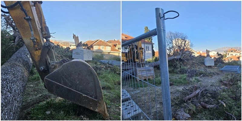 OSTAO SAMO BETON Pod okriljem noći srušeno je šalovano stablo na Gripama