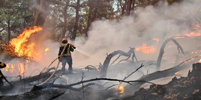 Planulo na pet mjesta u Tučepima i Podgori, policija traži piromana
