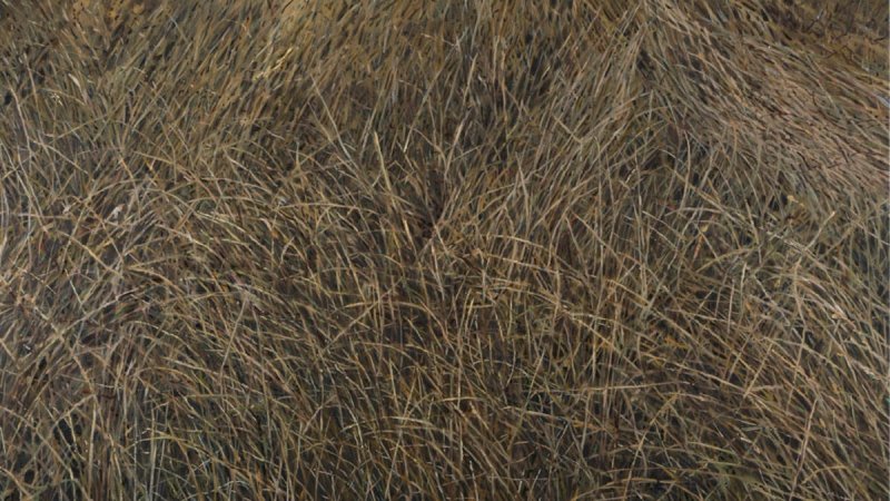 SALON GALIĆ Otvara se izložba Radovana Kunića 'Raspored slučajnosti'