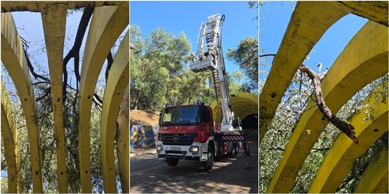 Zatvara se tunel Marjan